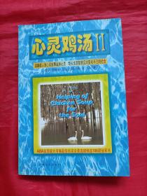 心灵鸡汤：世界畅销书译丛