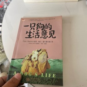 一只狗的生活意见