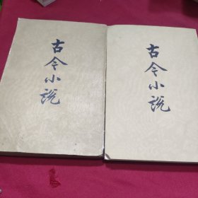 古今小说(全两册)
