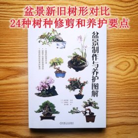 盆景制作与养护图解(日)松井孝监修机械工业出版社