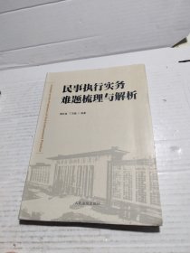 民事执行实务难题梳理与解析