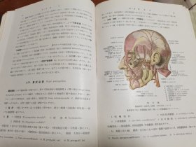 高木局所解剖学 2603年版