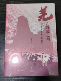 羌在汉藏之间：川西羌族的历史人类学研究（《华夏边缘》作者王明珂经典力作，川西羌族全解）