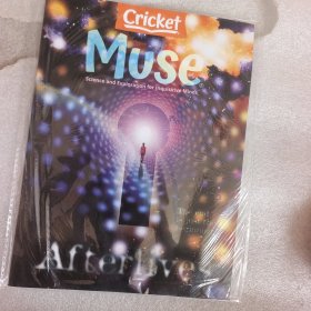 Cricket Muse 2024