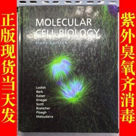 Molecular Cell Biology（分子细胞生物学）第六版