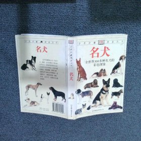 名犬：全世界300多种名犬的彩色图鉴