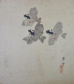日本回流书画字画仲安梵师国画《小鸟》