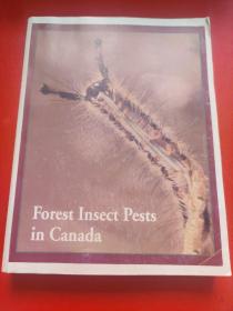 原版英文forest insect pests in canada