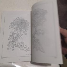 菊花白描图集/中国传统工艺美术资料丛书