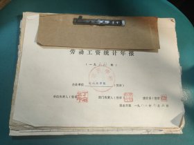 劳动工资统计年报（企业单位:皖南医学院）