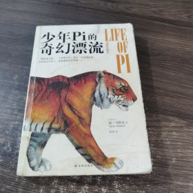 少年Pi的奇幻漂流（插图珍藏版）