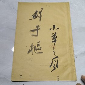 元鲜于枢行草真迹。