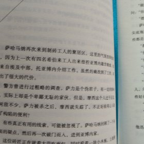 拉美西斯五部曲三3 卡迭石之战（书皮有轻微退色）