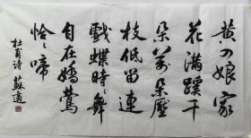 诗词一首，书法老软片，苏适，画心尺寸70X135公分