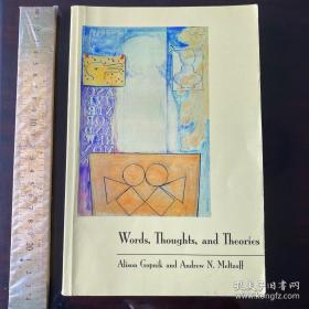 Words, Thoughts, and Theories cognitive linguistics cultural theories culture meaning 英文原版