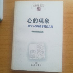 心的现象：耿宁心性现象学研究文集