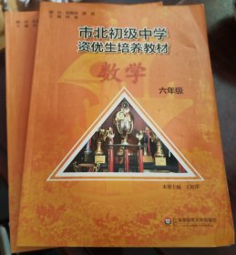 市北初资优生培养教材 六年级数学及练习册