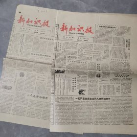 老报纸 新知识报 1987年第89 85期 2期合售