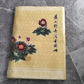黄山野卉写生图册（活页68幅全）