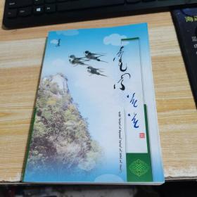 蒙文 蒙语 飞吧！我的小鸟儿 图希格