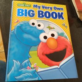 My Very Own BIG BOOK