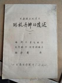 电影镜头记录本，玛格丹娜的遭遇