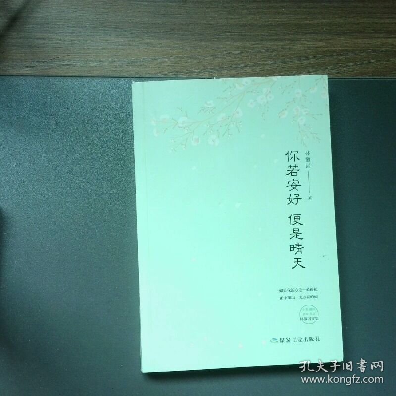 你若安好便是晴天