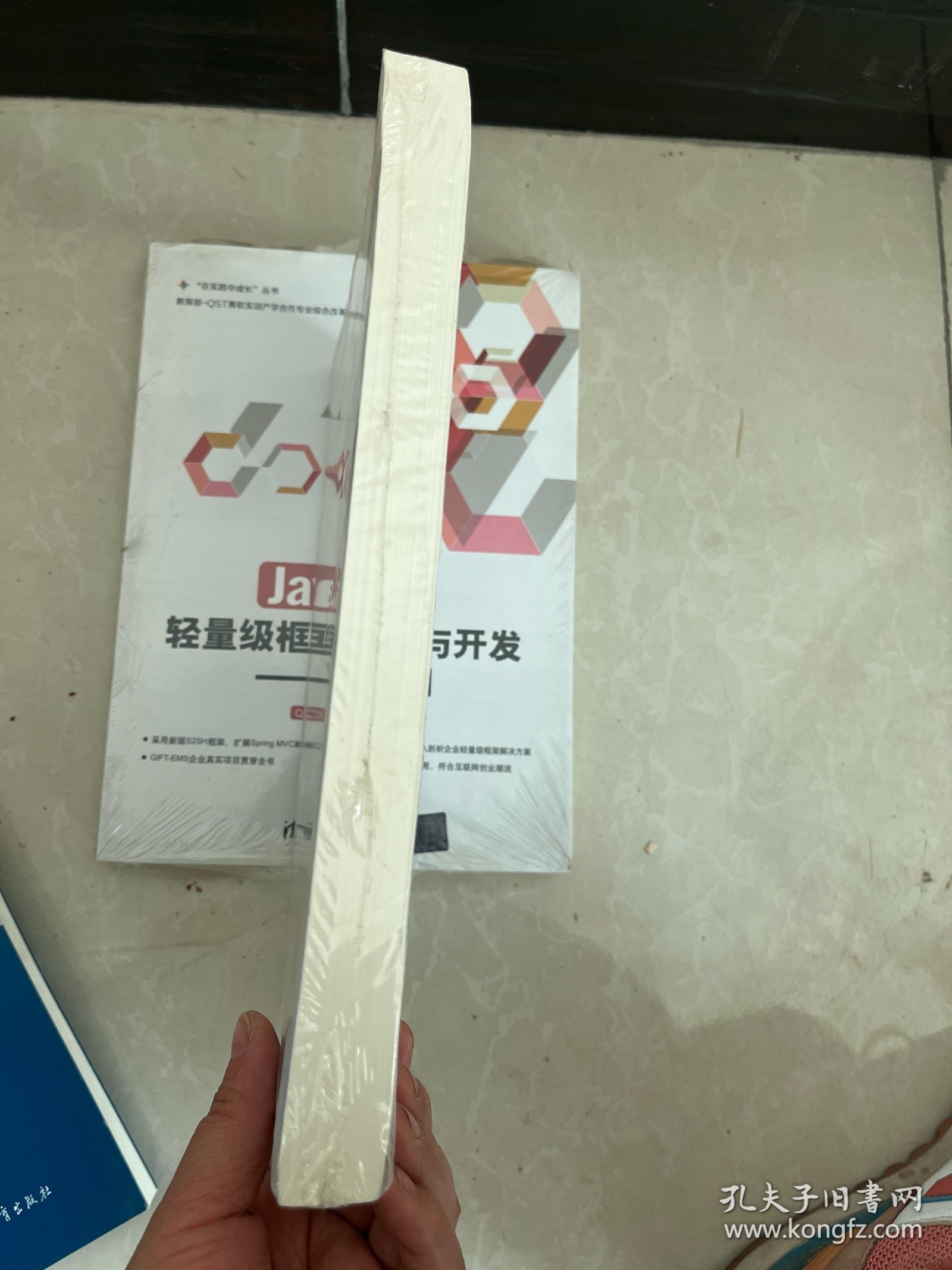 Java EE轻量级框架应用与开发：S2SH