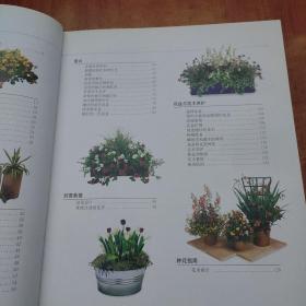 室内盆栽花卉和装饰