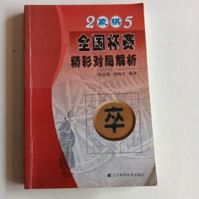 2005象棋全国杯赛精彩对局解析