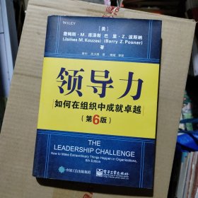 领导力：如何在组织中成就卓越（第6版）