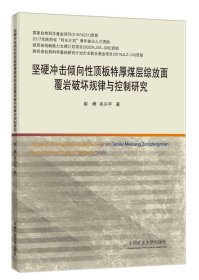 坚硬冲击倾向性顶板特厚煤层综放面覆岩破坏规律与控制研究