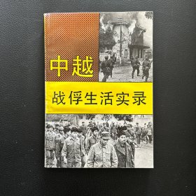 中越战俘生活实录
