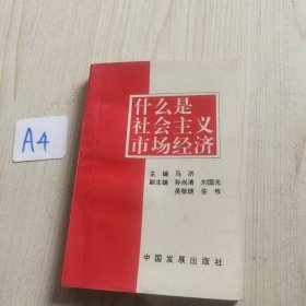 书名什么是社会主义市场经济