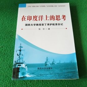 在印度洋上的思考：国防大学教授亚丁湾护航亲历记