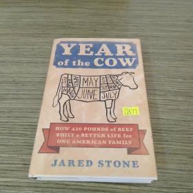 Year of The Cow