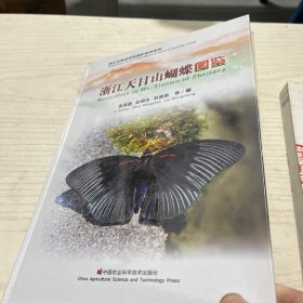 浙江天目山蝴蝶圖鑒