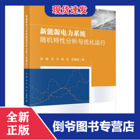 新能源电力系统随机特性分析与优化运行