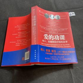 爱的功课：病人、家属和治疗师的故事