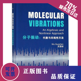 分子振动:代数与非线性方法(英文版)