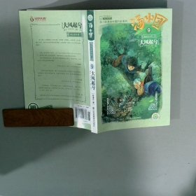 汤小团-大风起兮