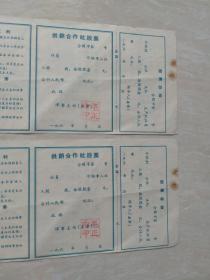 60年代，江北县，社员证2张。7-9（生日票据，，证书类票据）。