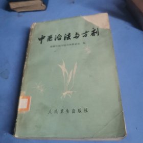 中医治法与方剂