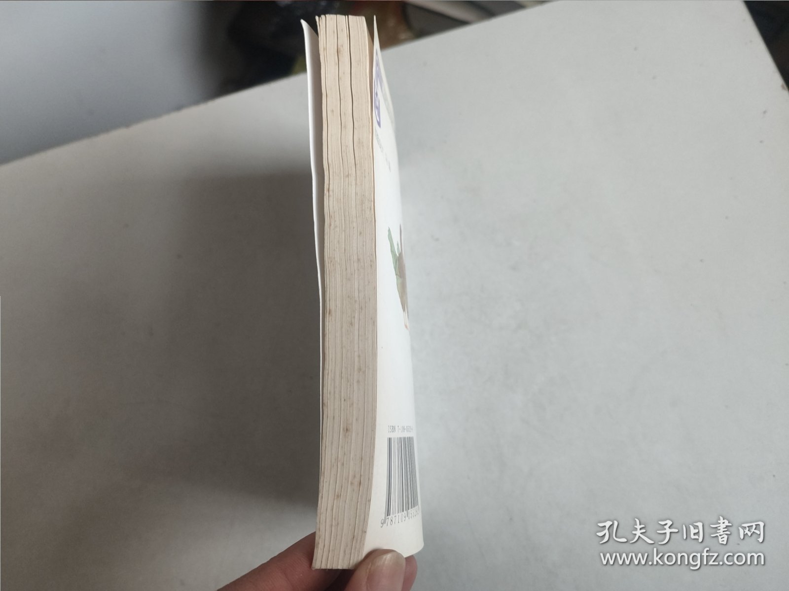 养鸡500天 第四版