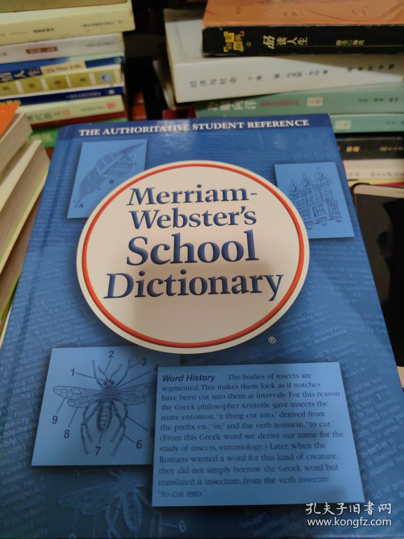 M-W's School Dictionary 韦氏学生字典（适合中学生，14岁以上）