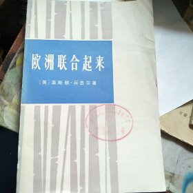 欧洲联合起来