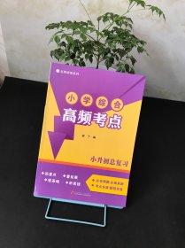 名师讲练系列；小学综合高频考点 小升初总复习（未使用 实物拍摄）