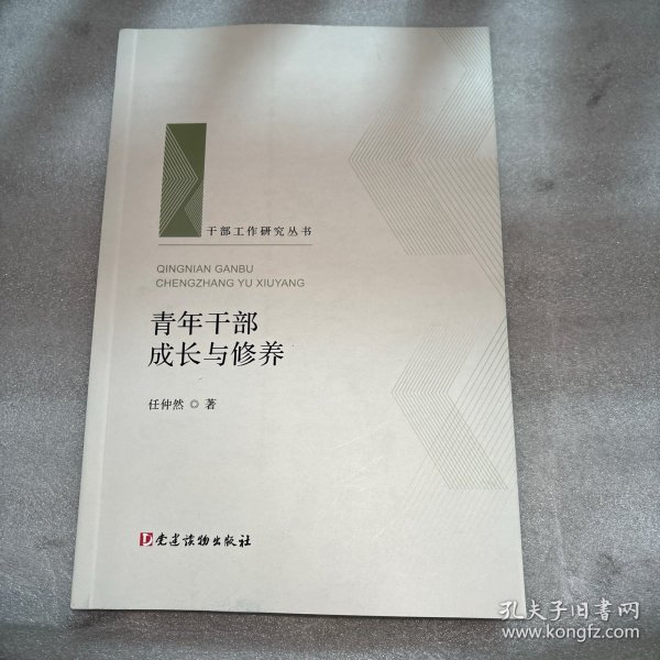 青年干部成长与修养（干部工作研究丛书 人梯书库）