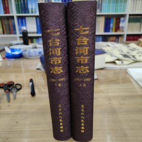 七台河市志1986—2005上下