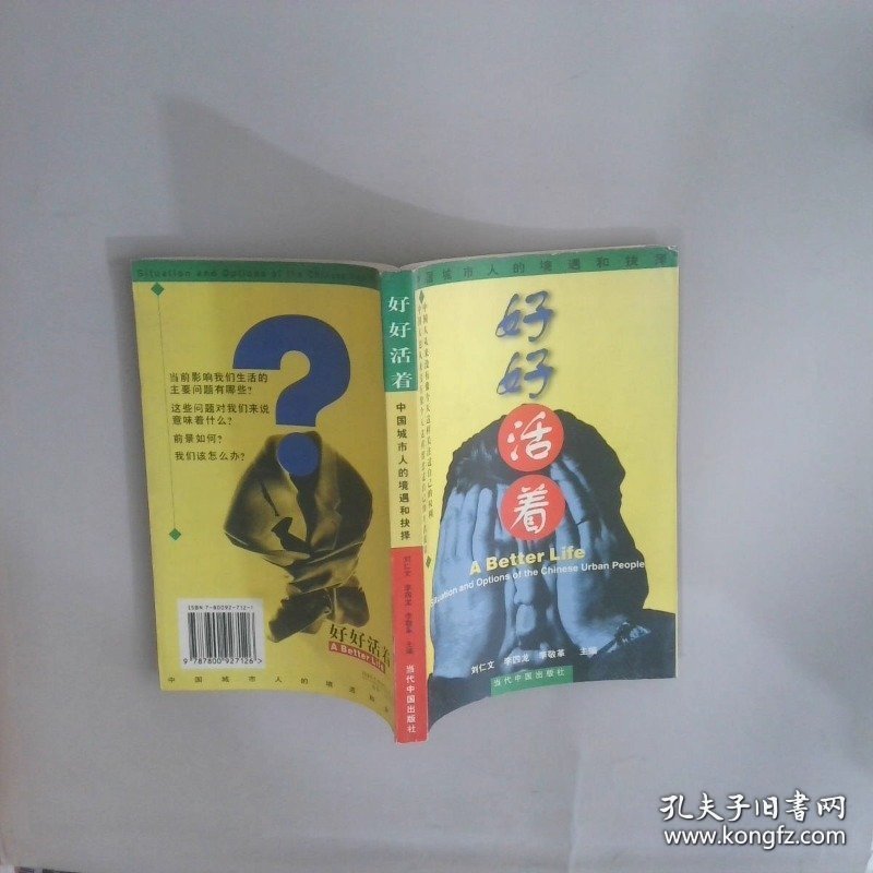 好好活着中国城市人的境遇和抉择